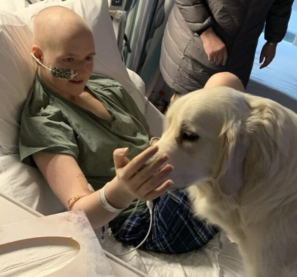  Scarlett with Elvis who has helped her during her cancer treatment and recovery