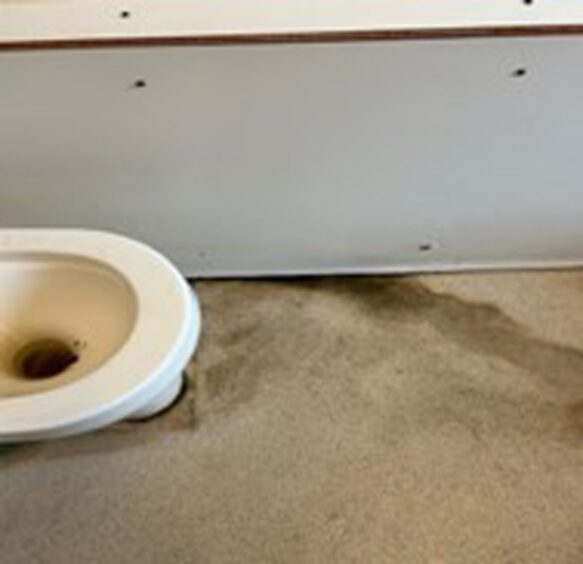 The broken living room toilet. 