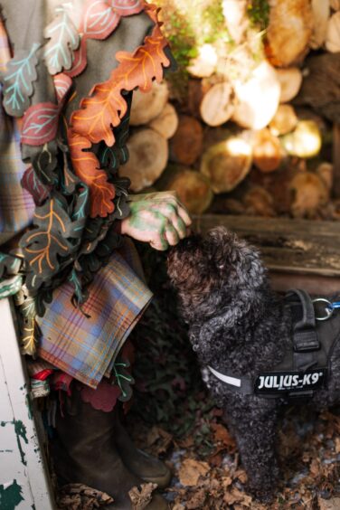 The Greenman gives black labradoodle Pepper a stone.