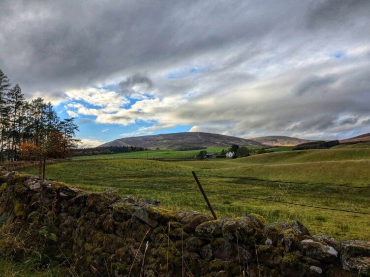 Views from the Tin Kirk across the Angus glens. Image: Gayle Ritchie.