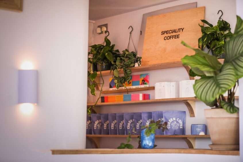 Shelves and soft lighting in EH9 espresso Annfield.