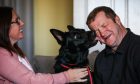 German Shepherd rescue Raven was delighted to be reunited with owners Melanie and Paul Musson. Image: Mhairi Edwards/DC Thomson.