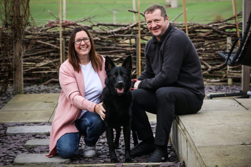 German Shepherd home is loving life in Leuchars with owners Melanie and Paul Musson. Image: Mhairi Edwards.