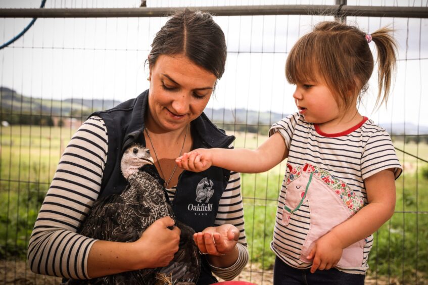 Toddler Elizabeth Sands helps feed the turkeys with her mum at Oakfield Farm.