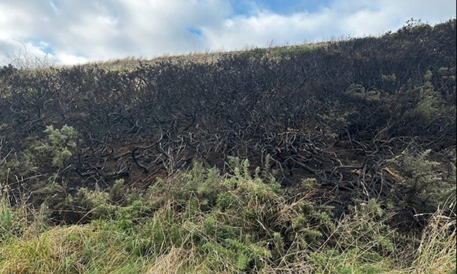 Fire damage Victoria Park, Arbroath