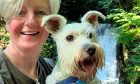 Lauren McQuade is hoping her dog Duggie will help her to find love. Image: Lauren McQuade