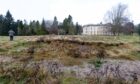 The overgrown state of the Camperdown Park golf course.