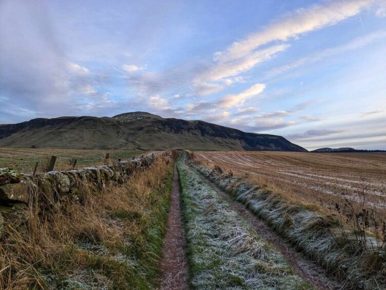 The grassy track leading to the Bunnet Stane, with a great view of West Lomond ahead.