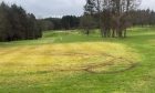 vandalism caird park golf course