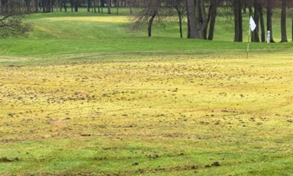 caird park golf vandalism