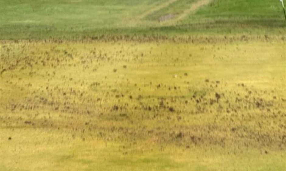 vandalism Caird Park Golf course
