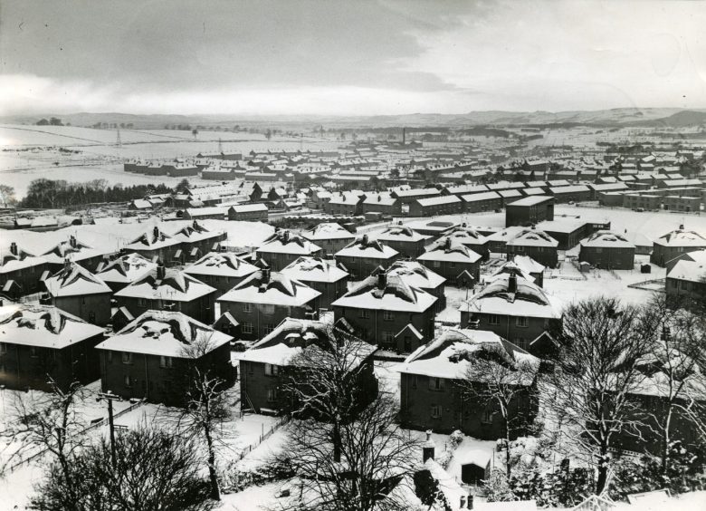snowy rooftops and gardens in Dundee is the view from the top of the multi-storey flats at Dryburgh.