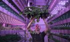 Intelligent Growth Solutions' crop research centre in Dundee