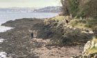A woman's body has been found after a search operation on the River Tay