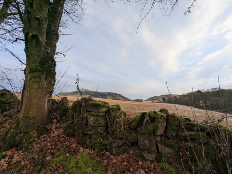 Near the start of the walk to John Knox's Pulpit. Image: Gayle Ritchie.