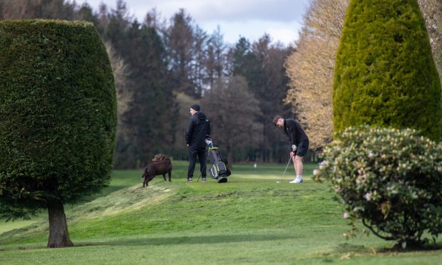 Golfers at Caird Park. Image: Kim Cessford/DC Thomson