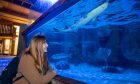 Small wonders at the St Andrews Aquarium. Image: Kenny Smith/DC Thomson.