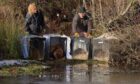 Katy Anderson of Forestry and Land Scotland helps to release some of Loch Ard Forest's newest residents. Image: Beaver Trust