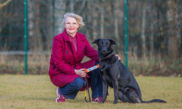 CR0051296 - Cheryl Peebles Story - Angus area - Local hero for Dec 21 Wendy Milne is currently fostering her 100th guide dog in training, Lindsey. Picture shows Wendy Milne and guide dog in training, Lindsey ---   1e Mallard Drive, Forfar - Sunday 15th December 2024  - Image: Steve MacDougall/DC Thomson