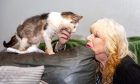 Carol Donald rubs her cat Echo under the chin.