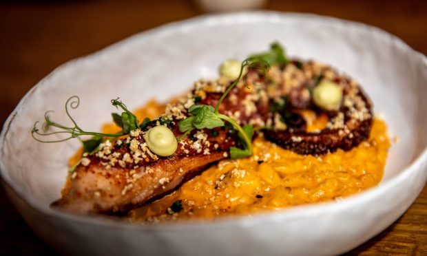 Grilled octopus tentacle with paprika riso potato.