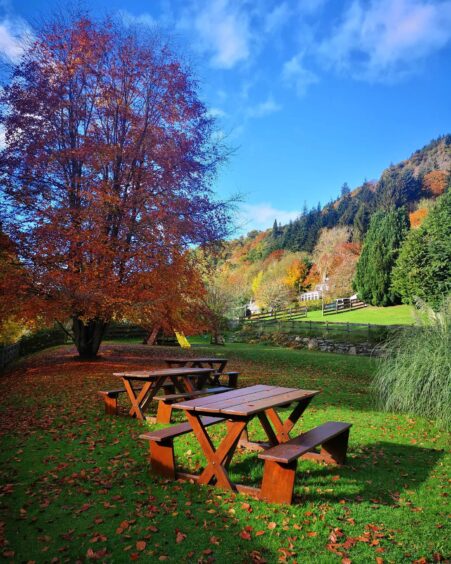 The grounds of the hotel.
