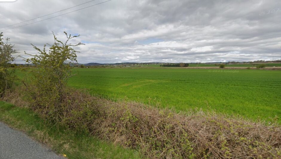 Flat open field, near Longforgan, photographed from roadside with green agricultural crop planted in it