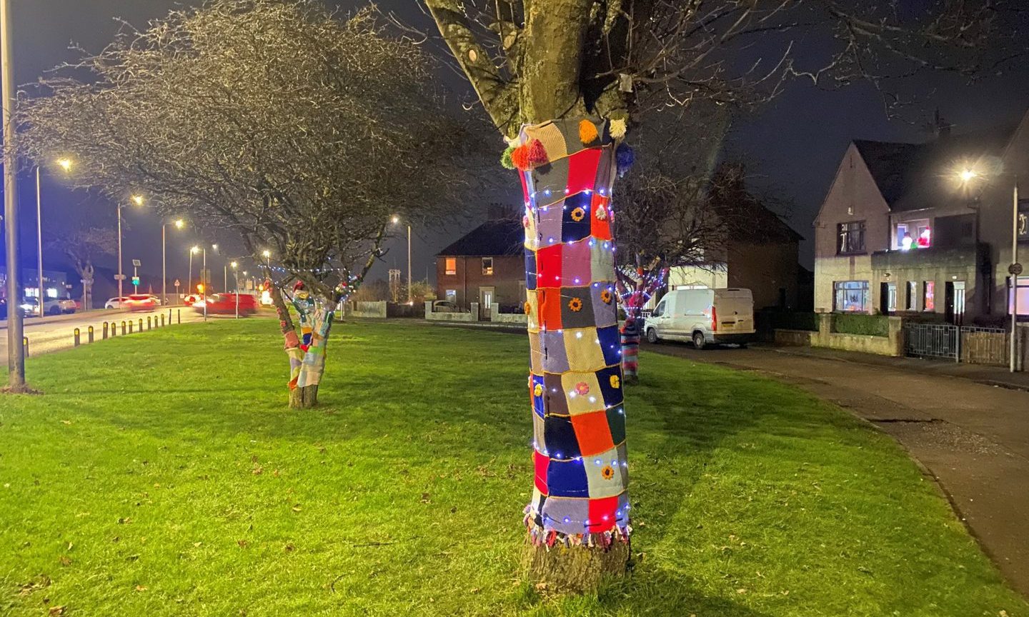Trees in Methilhaven Road, Methil, wrapped in crochet blankets after a yarn bomb