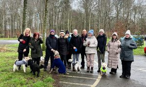 Love Unleashed hosts regular walks and other social meet-ups in Stirling and the surrounding area. Image: Lauren McQuade