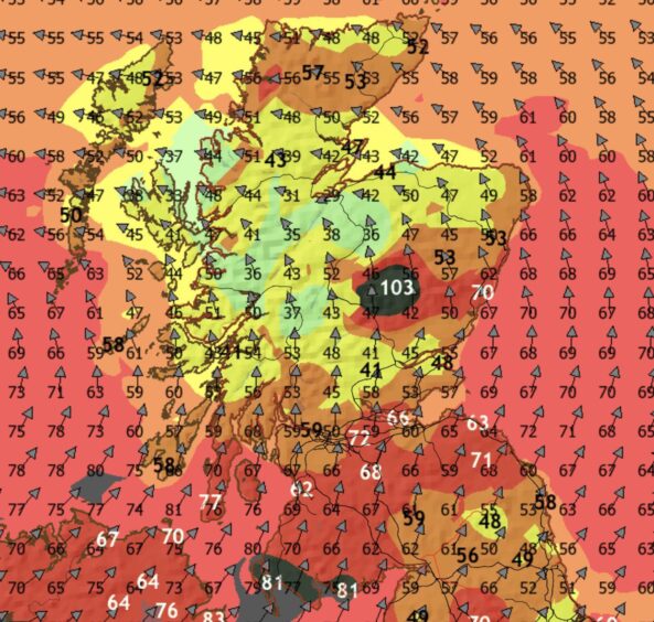 a map showing wind speeds across Scotland due to Storm Eowyn