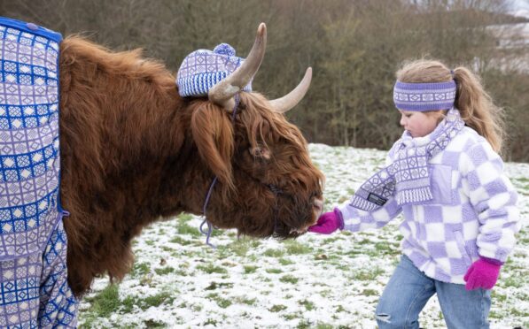 Come and coo-rie in. Julie the Highland cow meets 7-year-old Jessica Roer from Edinburgh to launch the campaign. Image: Visit Scotland