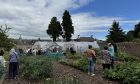 Volunteers in Rattray Communuty Garden with veg growing and polytunnels behind them.