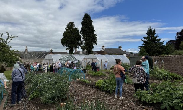 Volunteers in Rattray Communuty Garden with veg growing and polytunnels behind them.