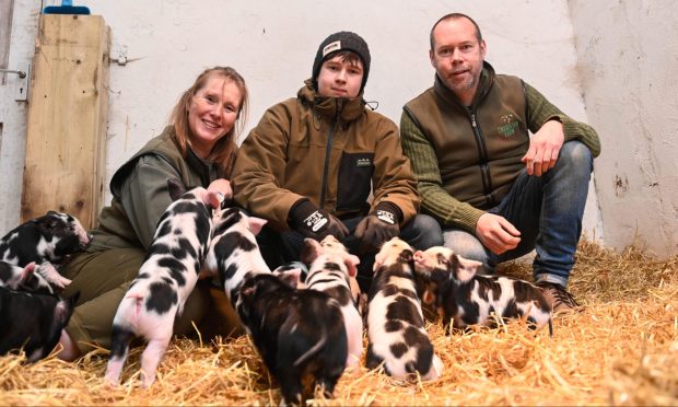 Lisa, Archie and Graeme McColl with their pigs at Charleton Farm. Image: Darrell Benns/DC Thomson