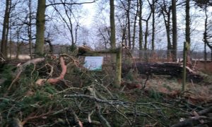 Storm Eowyn damage at the Scottish Deer Centre in Fife