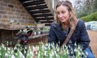 Cheryl and her schnoodle Ivy admire the many types of snowdrop on sale at Cambo Gardens. Image: Kim Cessford/DC Thomson.