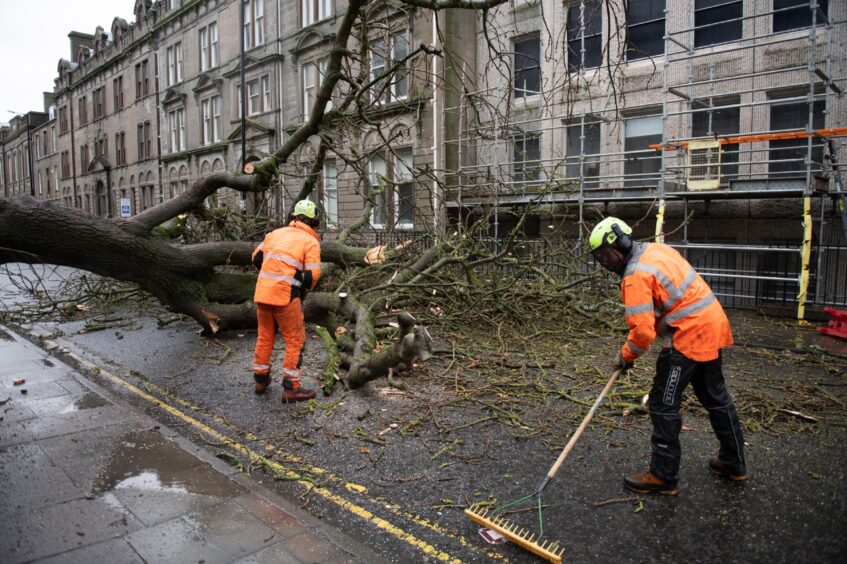 Council workers clear tree fallen on Bell Street, Dundee. 