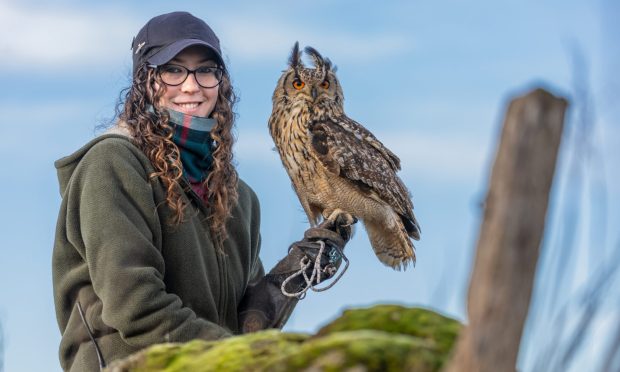 CR0051807, Cheryl Peebles. Cluny. Elite Falconry. Picture shows;  For Magazine, Elite Falconry employee Danae with one of the birds, Sage the owl. Danae and Sage were involved with filming for The Traitors which will be mentioned in article. This is for a feature about 5 people with weird and wonderful jobs.
Wednesday 29th January 2025. Image: Kenny Smith/DC Thomson