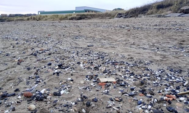 Items found on Kirkcaldy's Seafield Beach.