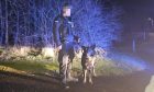 Police dogs deployed after 20-mile car chase