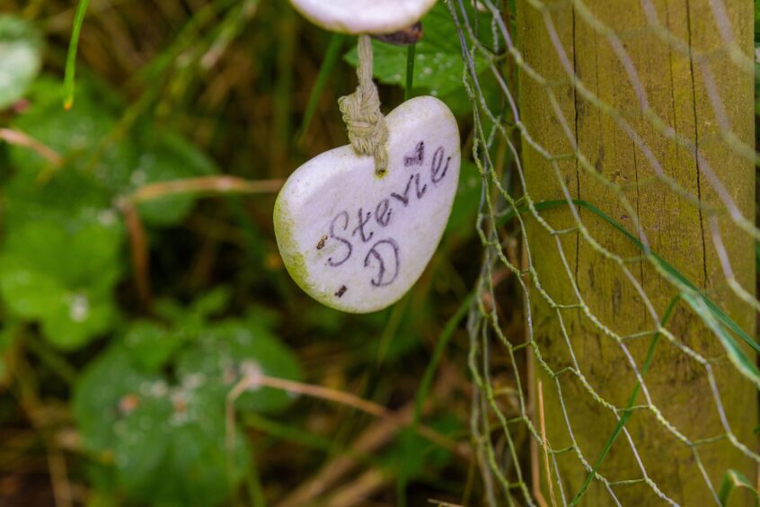 Steven Donaldson memorial tree at Kinnordy Loch near Kirriemuir.