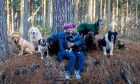 Sue Forrester with a pack of eight dogs in Tentsmuir Forest. Image: Steve Brown/DC Thomson