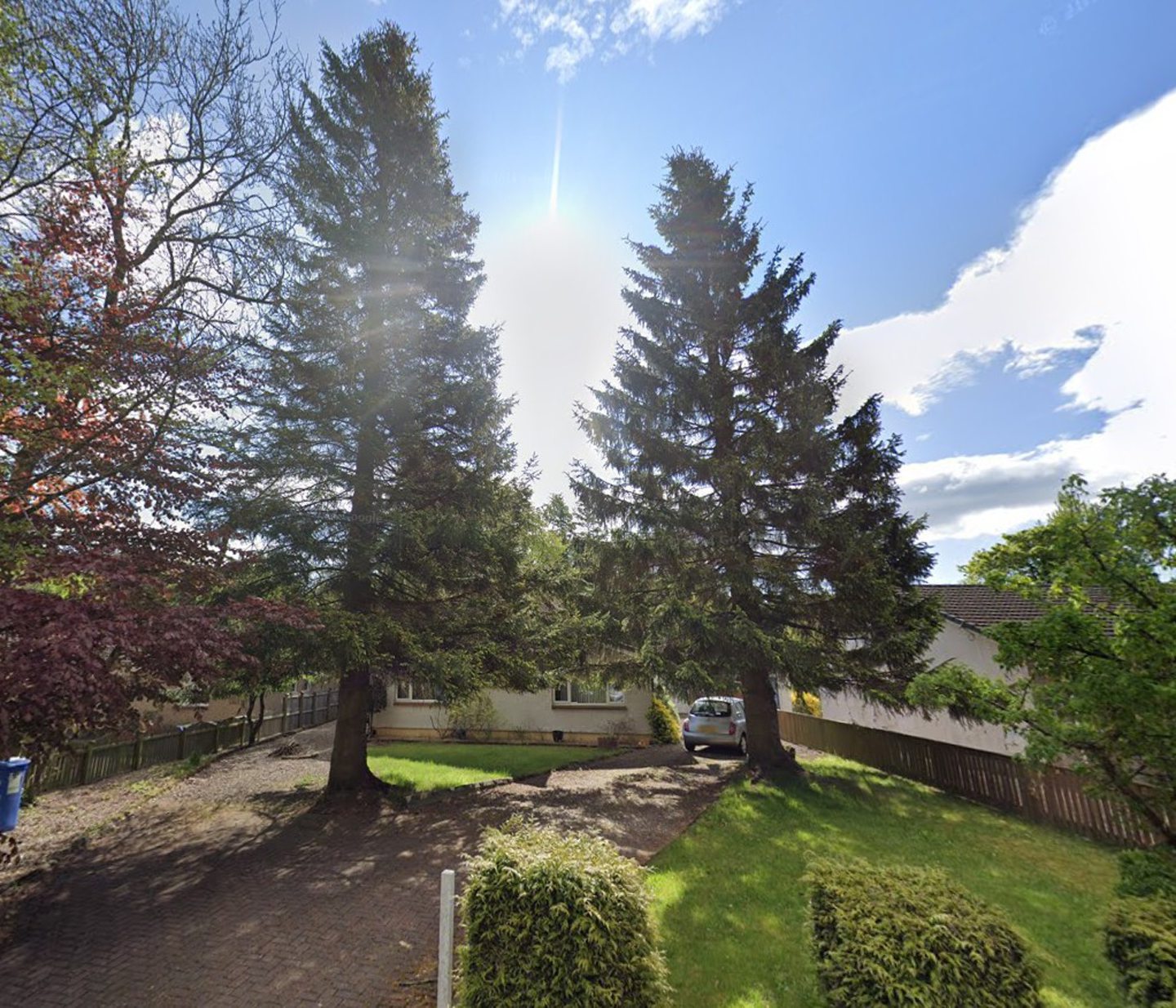 One of the fir trees in Markinch came down during Storm Eowyn 