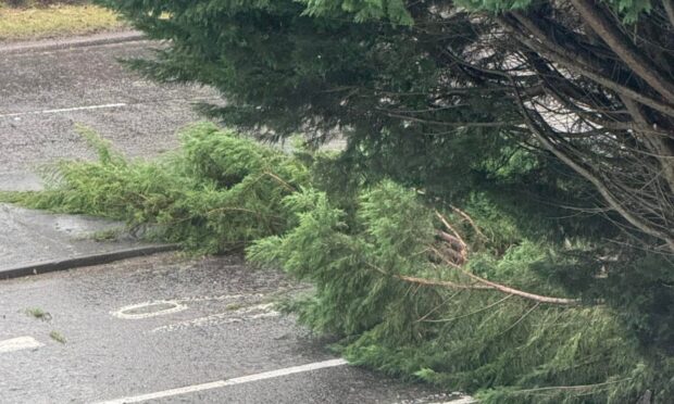 Trees blocked the busy Burghmuir Road near Tesco in Stirling, heading towards Customs Roundabout. Image: Jessica Millican