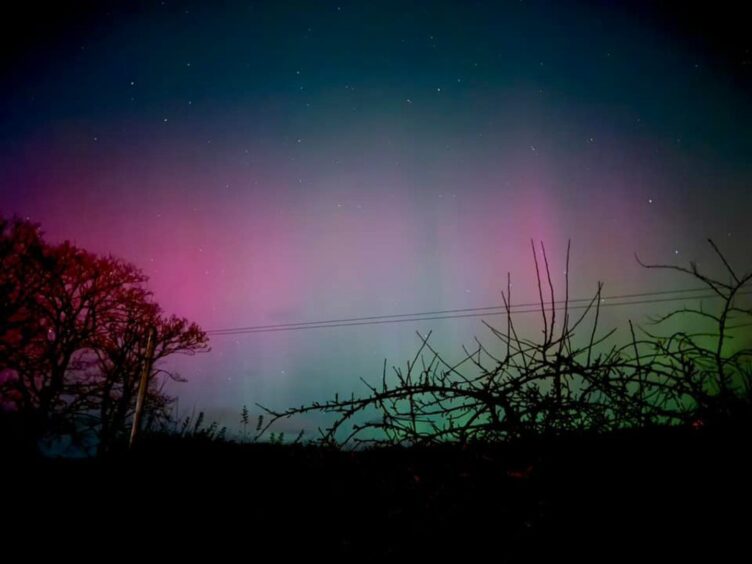 Northern Lights in Scone.