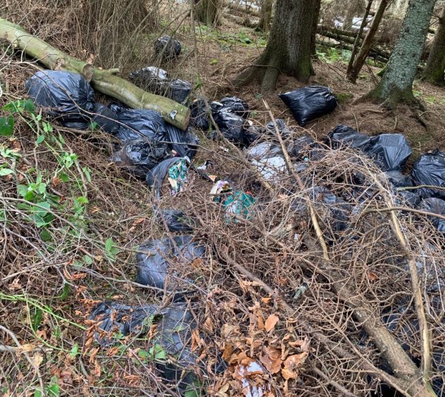 Branches placed over the cannabis farm remains