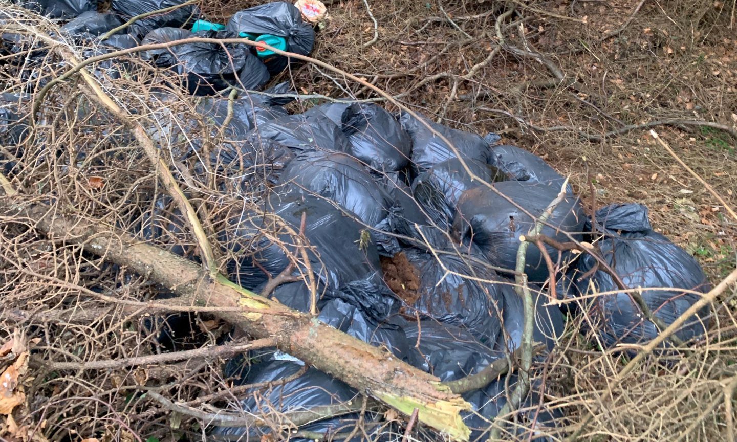 The remains of a cannabis farm were found dumped in Fife woodland