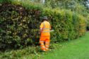 A man in orange hi vid gear trimming a hedge