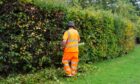 A man in orange hi vid gear trimming a hedge