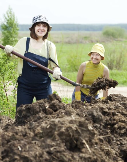 Two women working with manure